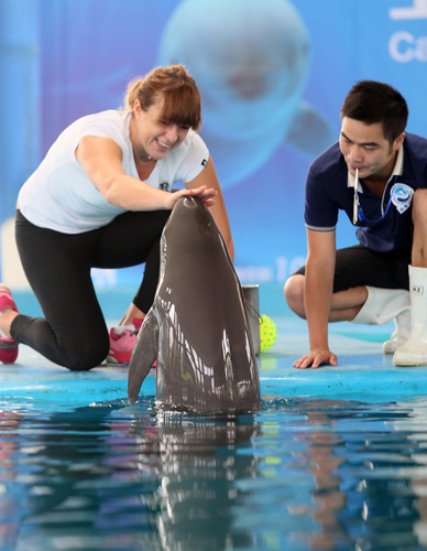 马斯切拉诺 马斯切拉诺