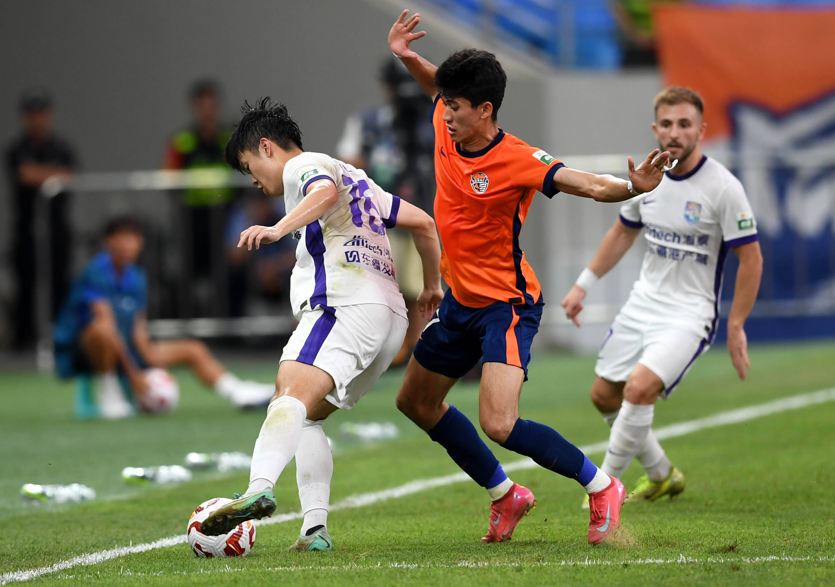 森都在积极 森都在积极